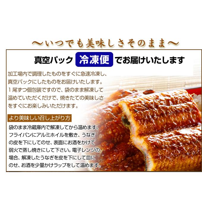 うなぎ 蒲焼 一本物 無頭 1尾 200〜220g前後 中国産 冷凍 食品 国華園