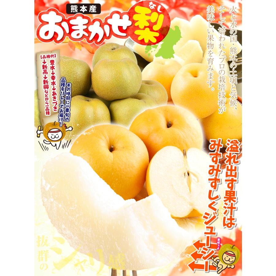 梨 約4kg ご家庭用 おまかせ和梨 熊本産 訳あり 幸水 豊水 あきづき