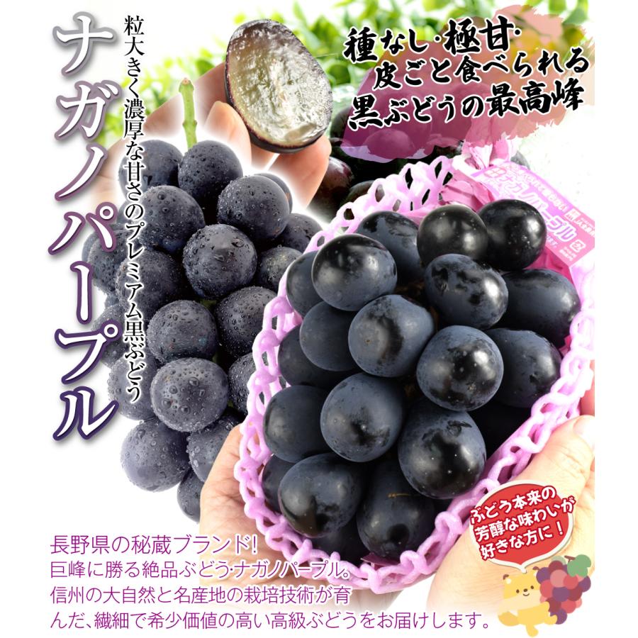 ぶどう 約1kg ナガノパープル 長野産（約500g×2房）種なし 皮ごとOK