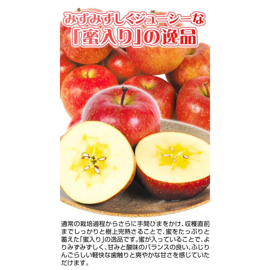 国華園 りんご 3kg ご家庭用 蜜入りサンふじ 山形産 送料無料 食品
