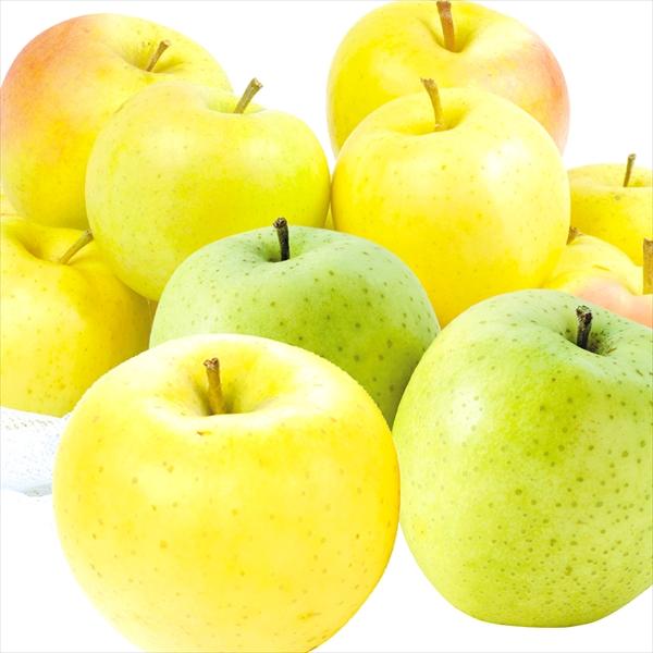 りんご 10kg おまかせ青りんご 青森産 ご家庭用 送料無料 食品 : 花と