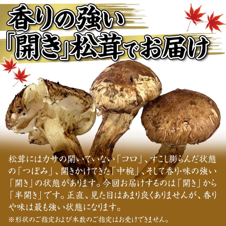 松茸 1kg 雲南省産 まつたけ 中国産 ご家庭用 割れあり 冷蔵便 送料