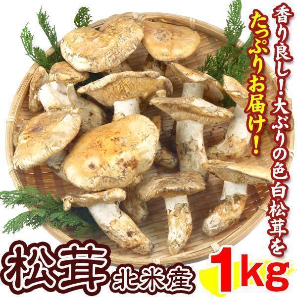 松茸・中蕾1kg買得商品