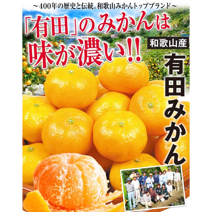 みかん 10kg ご家庭用 有田みかん 和歌山産 温州 ミカン 送料無料 食品