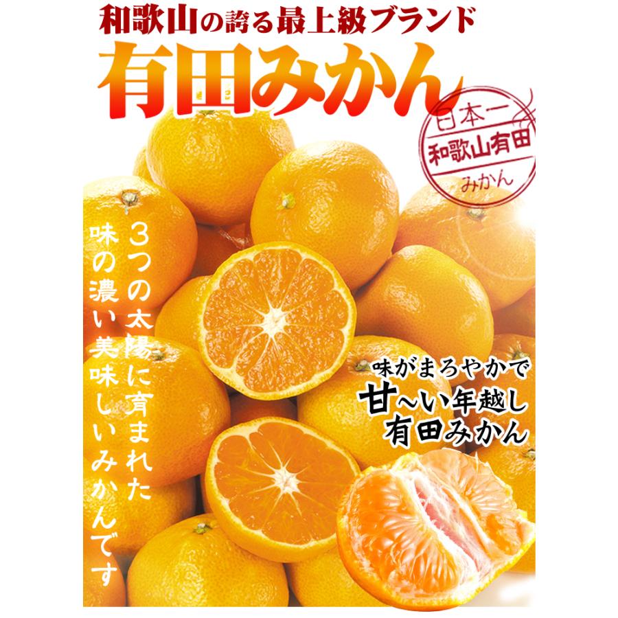 有田みかん - 専用出品です　有田みかん Amazon.co.jp: みかん 有田みかん 青秀 L～Sサイズ 5kg 和歌山県