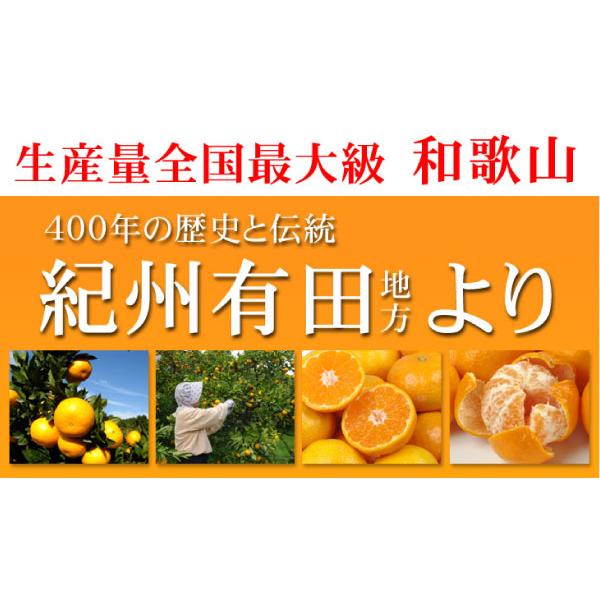 みかん 10kg ご家庭用 有田みかん 和歌山産 温州 ミカン 送料無料 食品