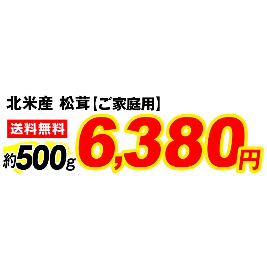 松茸 約500g 北米産 冷蔵便 ご家庭用 送料無料 食品 : 花と緑 国華園