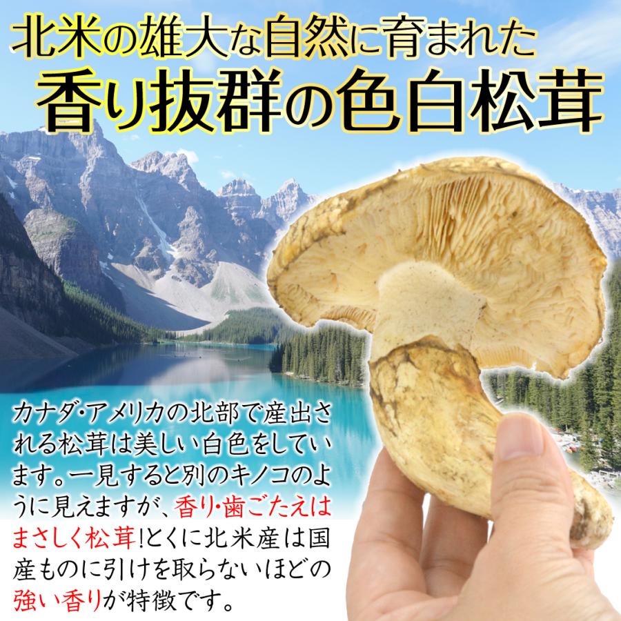 松茸 約500g 北米産 冷蔵便 ご家庭用 送料無料 食品 : 花と緑 国