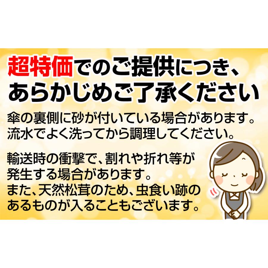松茸　北海道　500g　訳あり　③ 楽天市場】【予約商品】【9月中旬－10月上旬採れ次第発送】訳