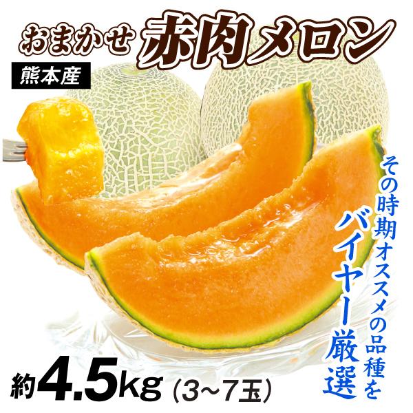 メロン 約4.5kg 厳選 赤肉メロン 熊本産 品種おまかせ ご家庭用