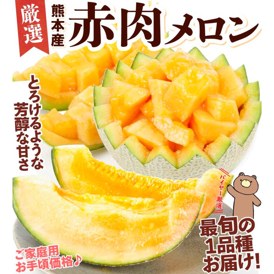 メロン 熊本産 厳選 赤肉メロン 約4.5kg ご家庭用 送料無料 食品 : 花