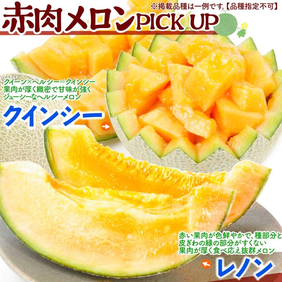 メロン 約4.5kg 厳選 赤肉メロン 熊本産 品種おまかせ ご家庭用
