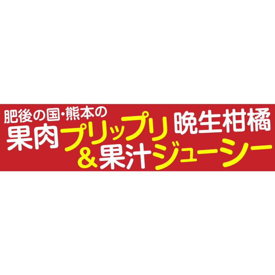 みかん 10kg 肥後の河内晩柑 熊本産 ご家庭用 送料無料 食品 国華園｜kokkaen｜02