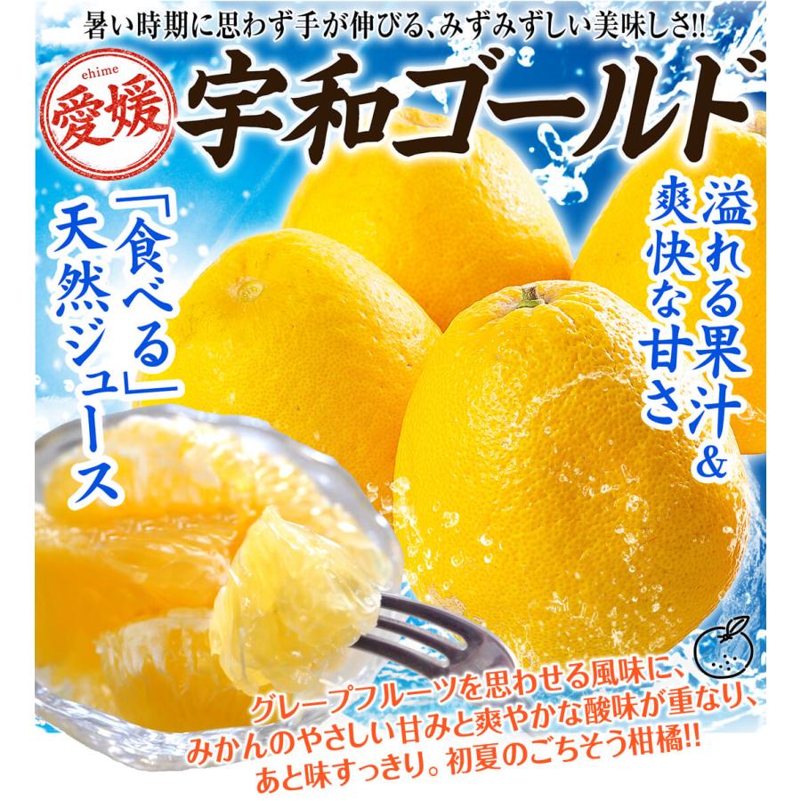 宇和ゴールド 10kg 愛媛産 ご家庭用 河内晩柑 みかん 和製