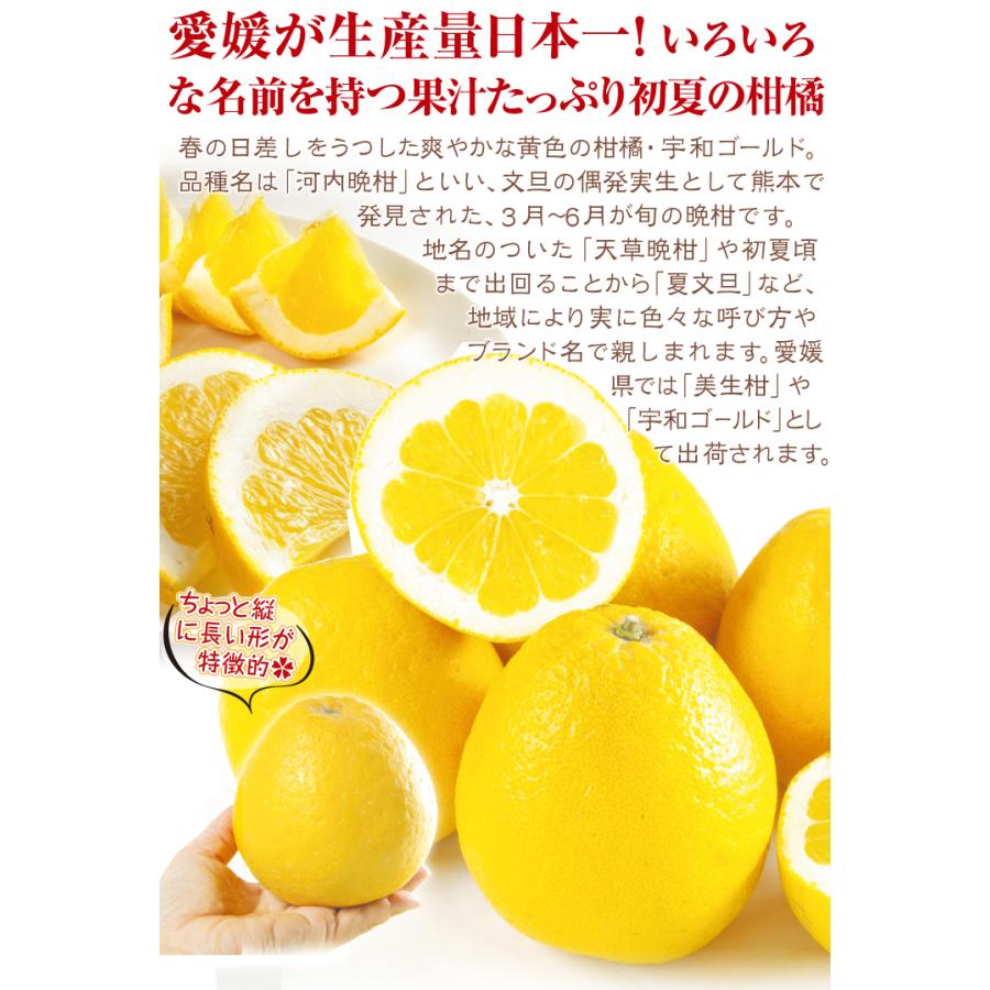 宇和ゴールド 10kg 愛媛産 ご家庭用 河内晩柑 みかん 和製