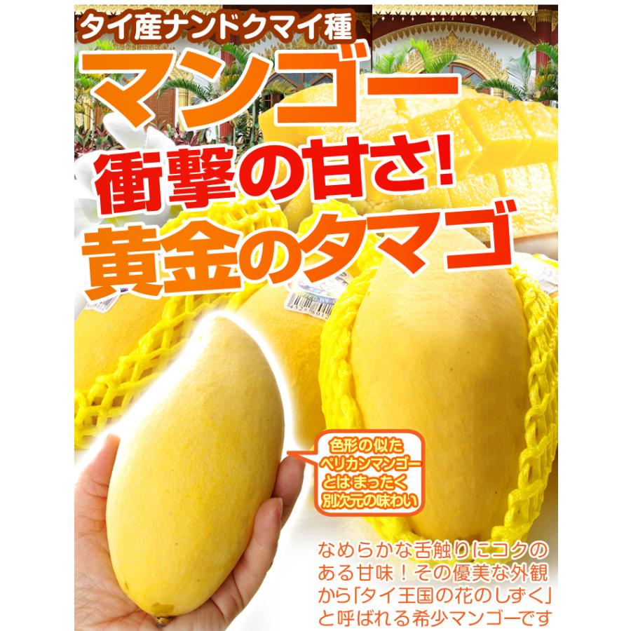 国華園 マンゴー 約1.8kg ナンドクマイ タイ産 黄金のタマゴ