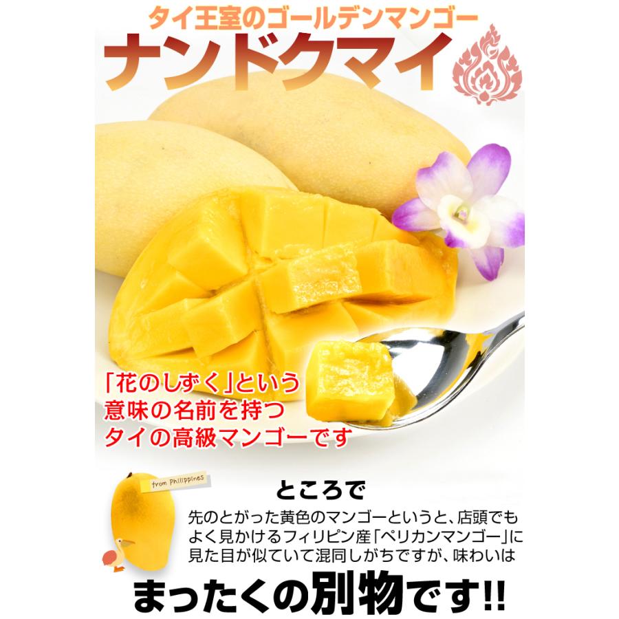 国華園 マンゴー 約1.8kg ナンドクマイ タイ産 黄金のタマゴ