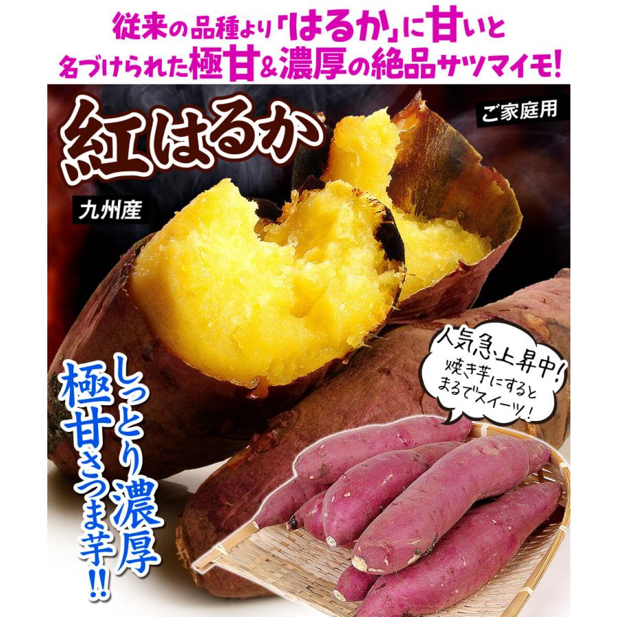 さつまいも 10kg 紅はるか 訳あり 九州産 ご家庭用 送料無料 食品 : 花