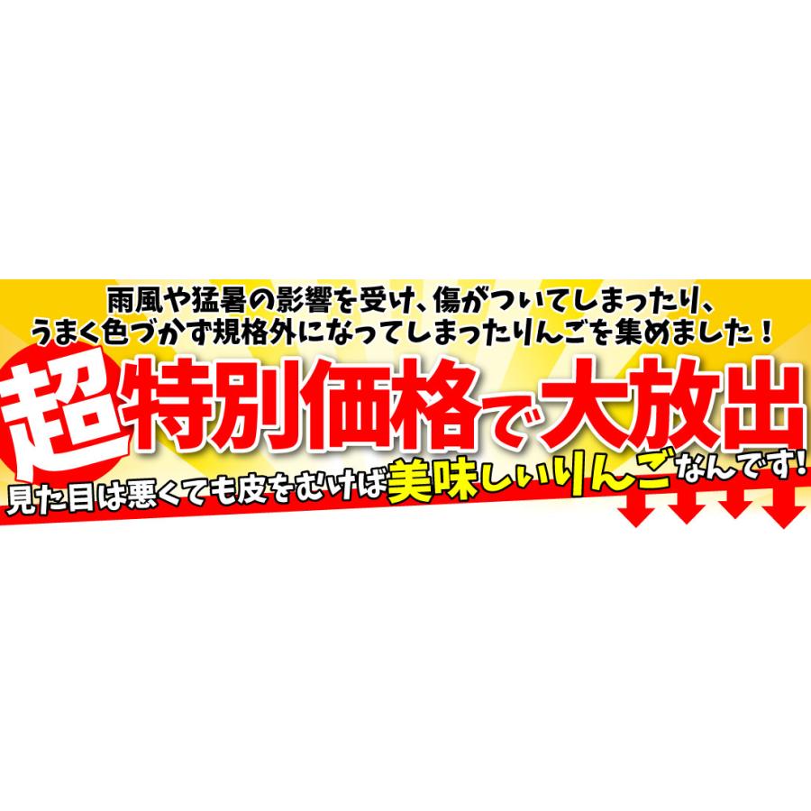 国華園 りんご 10kg ミックスりんご ご家庭用 加工用 訳ありりんご