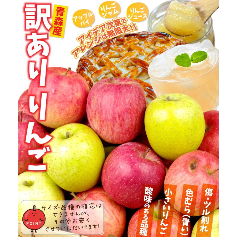 りんご 10kg ミックスりんご ご家庭用 加工用 訳ありりんご 青森産