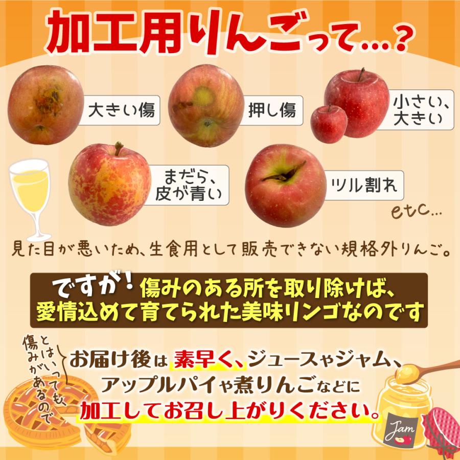 りんご 10kg 加工用ミックスりんご 青森産 ご家庭用 訳あり 送料無料