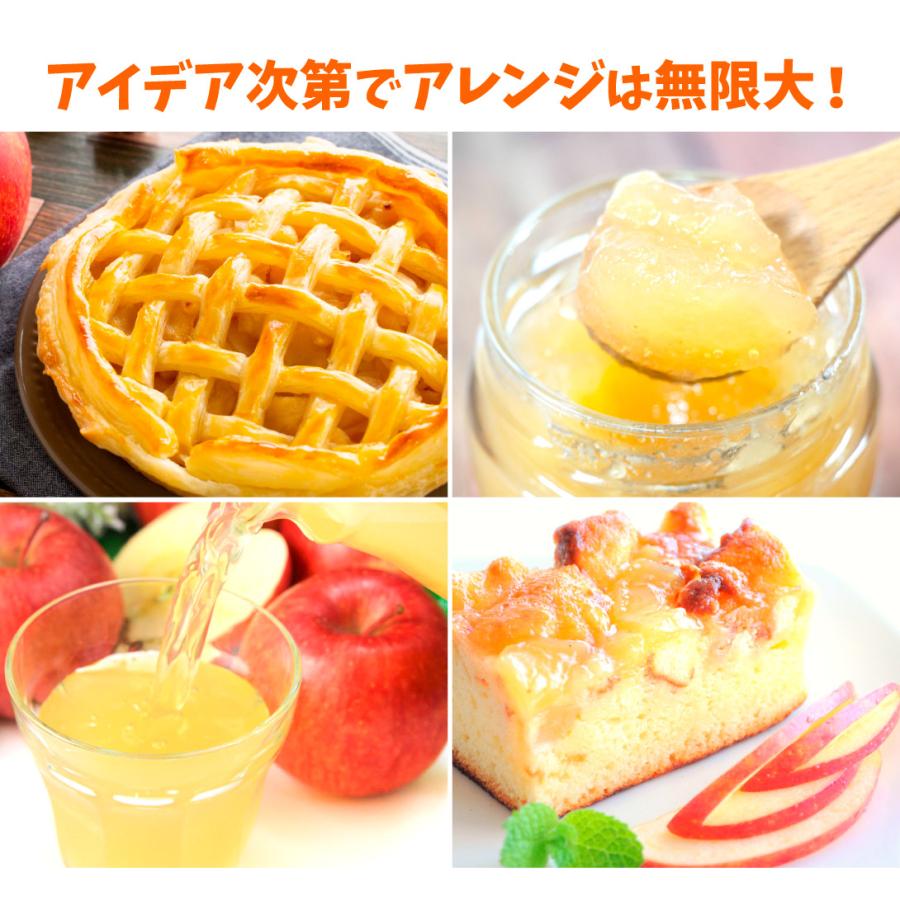 りんご 10kg 加工用ミックスりんご 青森産 ご家庭用 訳あり 送料無料