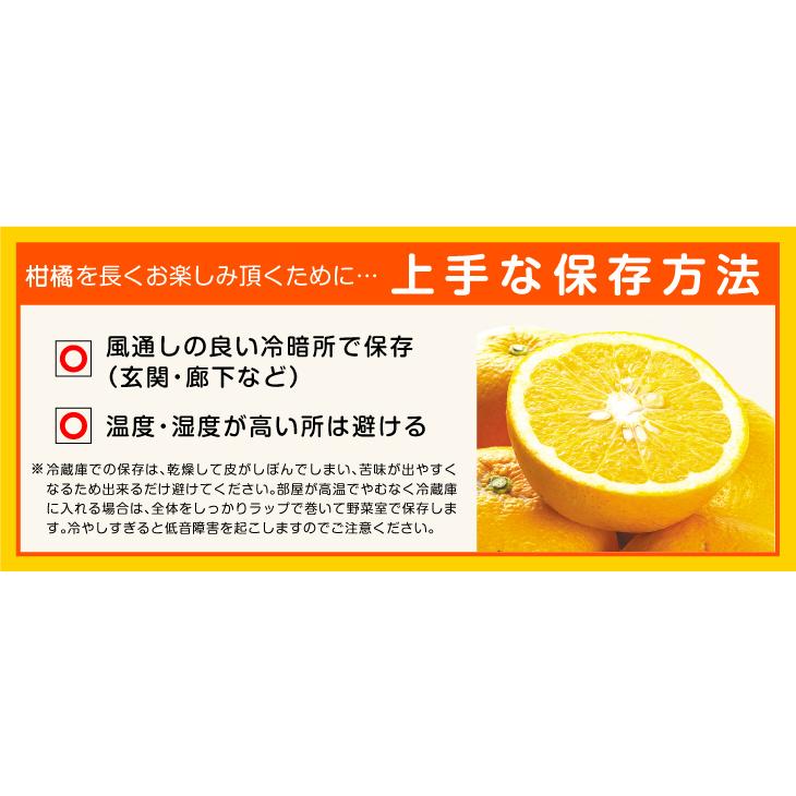 みかん 1.5kg 水晶文旦 大分産 ご家庭用 水晶 文旦 柑橘 果物 フルーツ