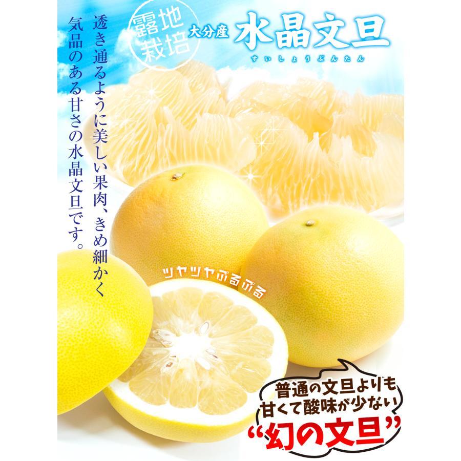 文旦　水晶文旦　みかん　好きに　　41 みかん 1.5kg 水晶文旦 大分産 ご家庭用 水晶 文旦 柑橘 果物 フルーツ