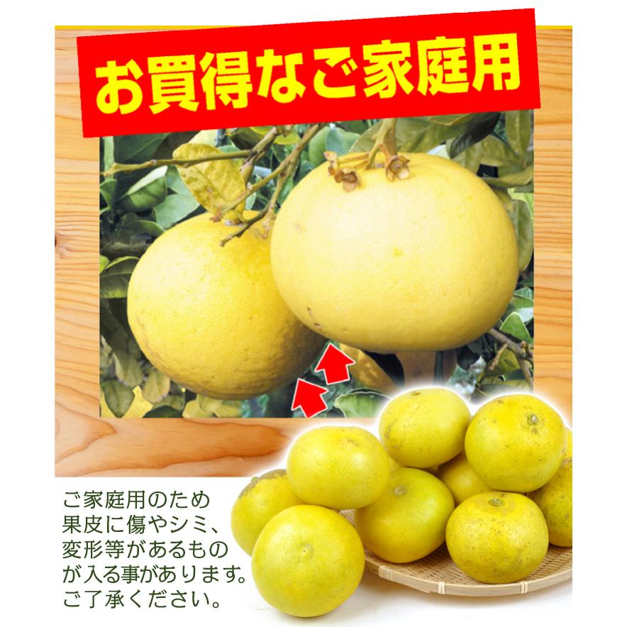 みかん 1.5kg 水晶文旦 大分産 ご家庭用 水晶 文旦 柑橘 果物 フルーツ
