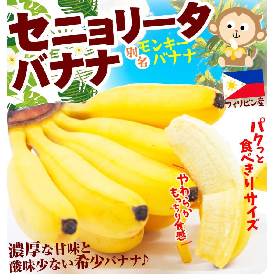 バナナ 3房 セニョリータバナナ フィリピン産 モンキーバナナ 希少品種