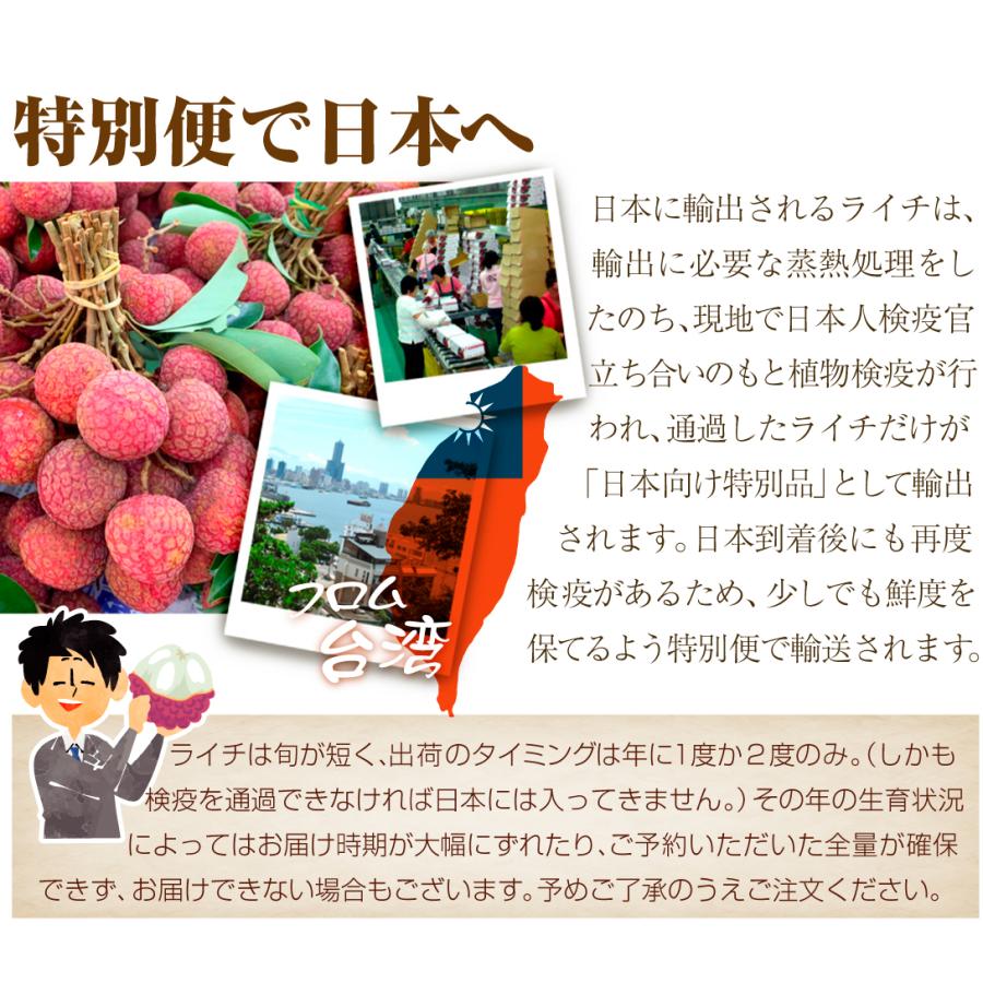 国華園 ライチ 1kg 生ライチ 黒葉 台湾産 みずみずしく甘いフレッシュ