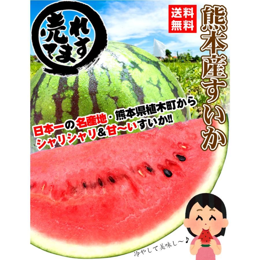 初物⭐︎熊本植木産 スイカ だんらん 1玉約4kg(2玉入) 初物⭐︎熊本植木産 スイカ だんらん 1玉約5kg(2玉入) - メルカリ