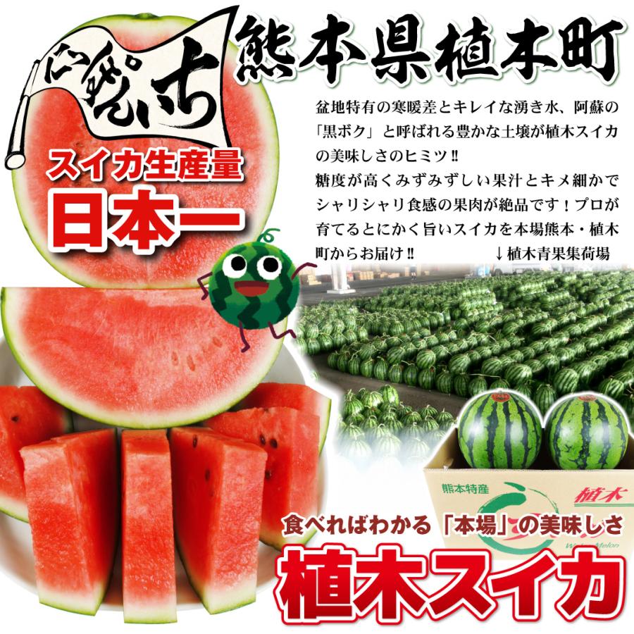 スイカ 3玉（3.5〜4kg入り）植木の小玉すいか 熊本産 送料無料 食品