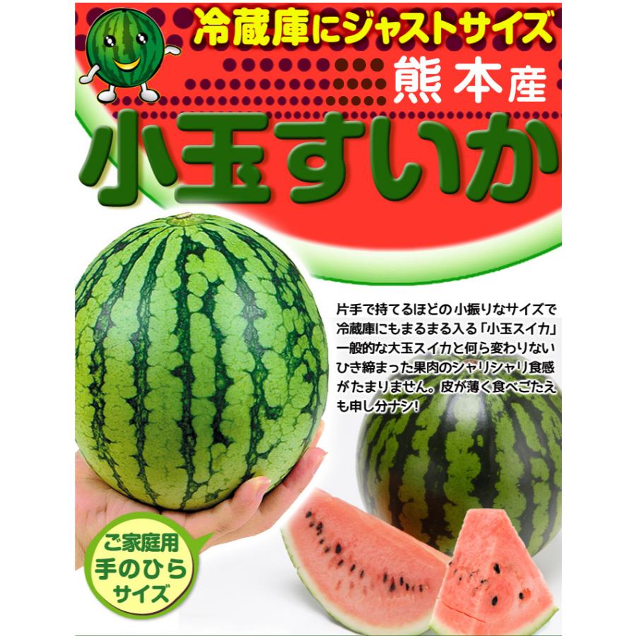 初物⭐︎熊本植木産 スイカ だんらん 1玉約4kg(2玉入) 熊本県産 植木スイカ だんらん 約3～4kg 2玉｜Yahoo!フリマ（旧PayPay