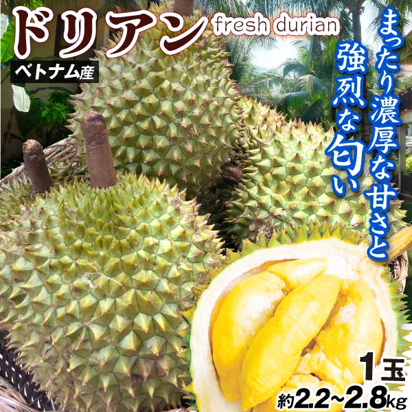 激安販売【即発送】ベトナム産ドリアン 2.4㎏-2.7kg 国華園 ドリアン 1玉 生ドリアン ベトナム産 2.2〜2.8kg前後 榴蓮 猫