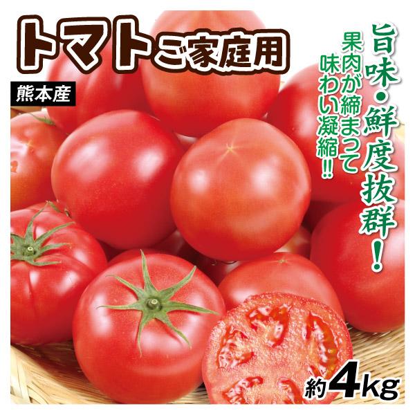 熊本産地直送トマト16Kg トマト 約4kg 熊本産 ご家庭用 送料無料 食品 : 花と緑 国華園 - 通販