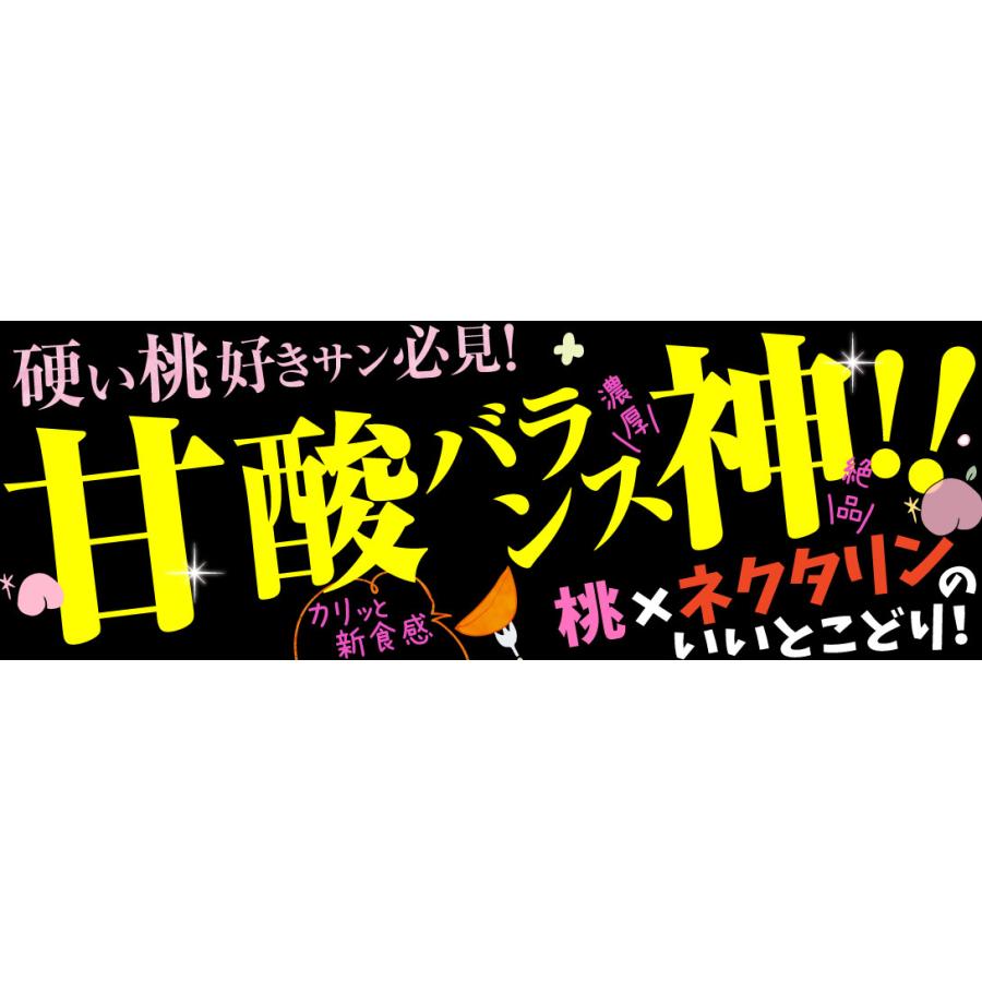 134 早生ワッサー　家庭用5キロ 国華園 もも 5kg ワッサー 長野産 送料無料 食品 : 花と緑 国華園