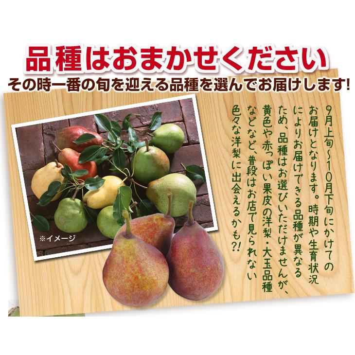 梨 4kg おまかせ洋梨 青森産 ご家庭用 送料無料 食品 : 花と緑 国華園