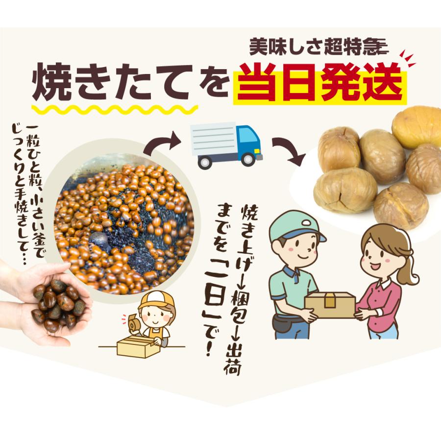 新栗 甘栗 天津甘栗 500g くり マロン 栗 焼きたて 無添加 殻付き 送料