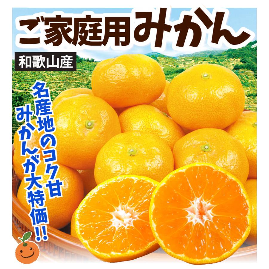 みかん 5kg 和歌山産 ご家庭用 (11月中旬〜発送) 温州 ミカン 送料無料