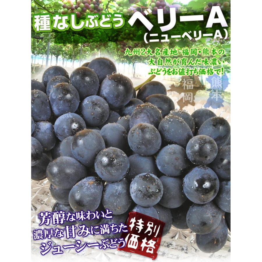 ぶどう 2kg (3〜8房) 種なしベリーA 熊本産 ニューベリーA 送料無料