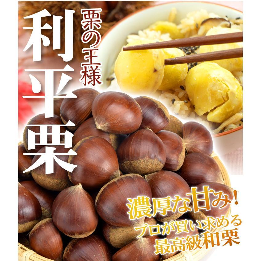 栗 1kg 利平栗 熊本産 常温便 サイズ無選別 送料無料 食品 : 花と緑 国