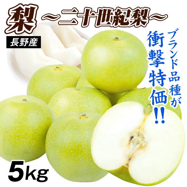 梨 5kg ご家庭用 二十世紀梨 長野産 爽やかな甘味 キレ良い食感 定番