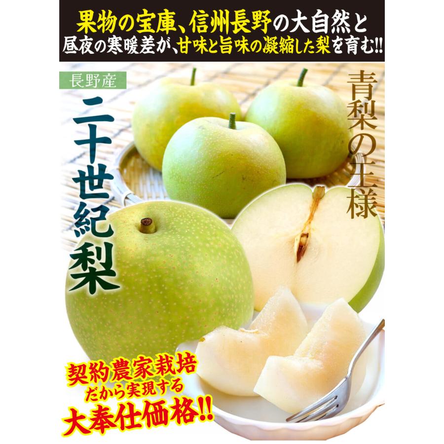 梨 10kg ご家庭用 二十世紀梨 長野産 送料無料 食品 爆買 : 花と緑 国