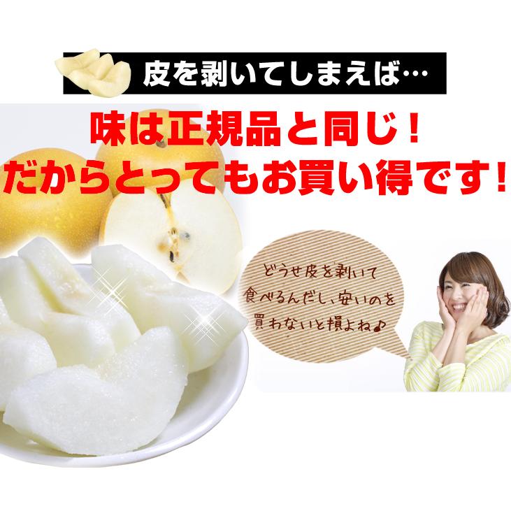 梨 10kg ご家庭用 二十世紀梨 長野産 送料無料 食品 爆買 : 花と緑 国