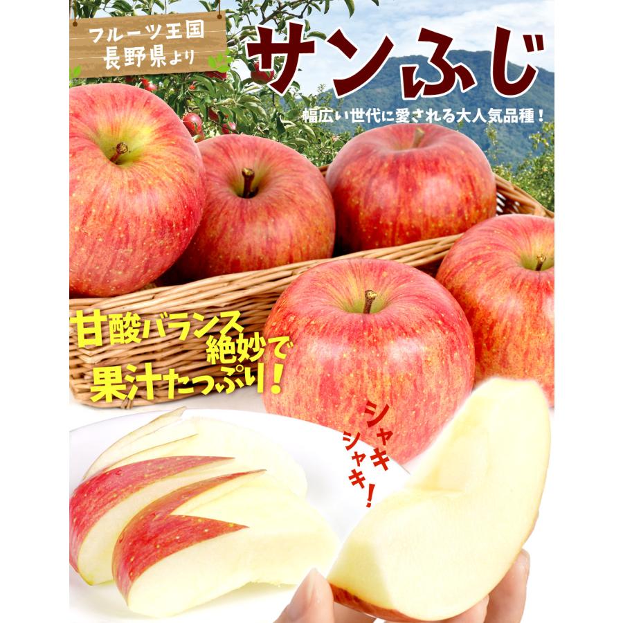 りんご 5kg ご家庭用 サンふじ 長野産 林檎 果物 送料無料 食品 : 花と