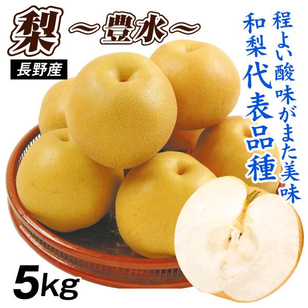 長野県産 豊水梨＆サンセーキ梨MIX 5kg 家庭用 梨 5kg 豊水梨 長野産 ご家庭用 強い甘味と爽やかな酸味 ナシ なし 和
