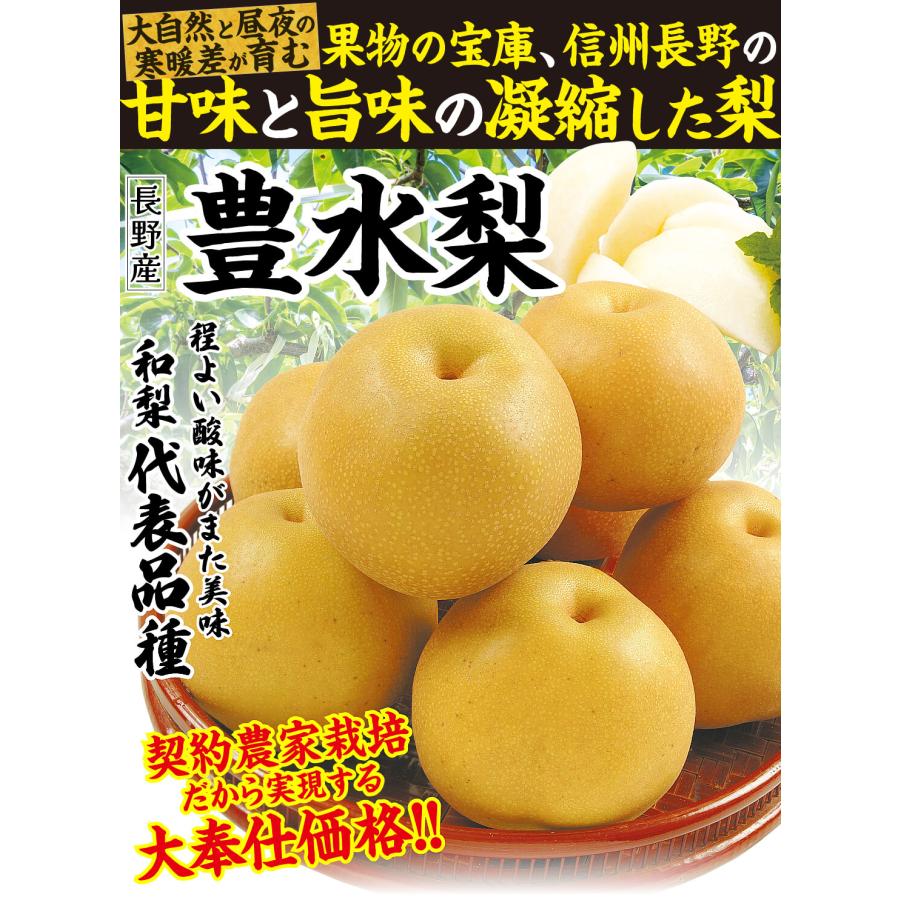 長野県産 豊水梨＆サンセーキ梨MIX 5kg 家庭用 梨 5kg 豊水梨 長野産 ご家庭用 強い甘味と爽やかな酸味 ナシ なし 和