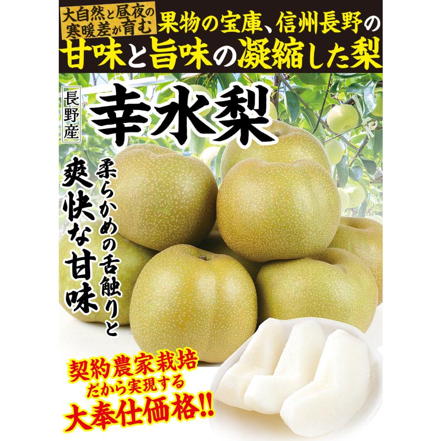 梨 10kg 幸水梨 長野産 ご家庭用 ナシ なし 和梨 名産地 送料