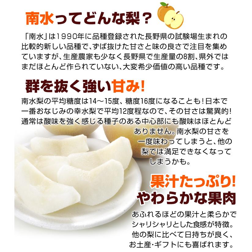 梨 5kg 南水梨 長野産 大特価 ご家庭用 ナシ なし 甘くてジューシーな